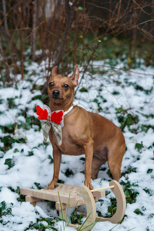 Christmas * Dog Bow * Cat Bow * checked * red * Antler * Deer Cuteness