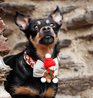 Christmas * Dog Bow * Cat Bow * Teddy Bear * Hat * Scarf * Cord * red * green * The snuggle is real!