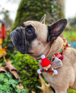 Christmas * Dog Bow * Cat Bow * Teddy Bear * Hat * Scarf * Cord * red * green * The snuggle is real!