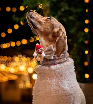 Christmas * Dog Bow * Cat Bow * Teddy Bear * Hat * Scarf * Cord * red * green * The snuggle is real!