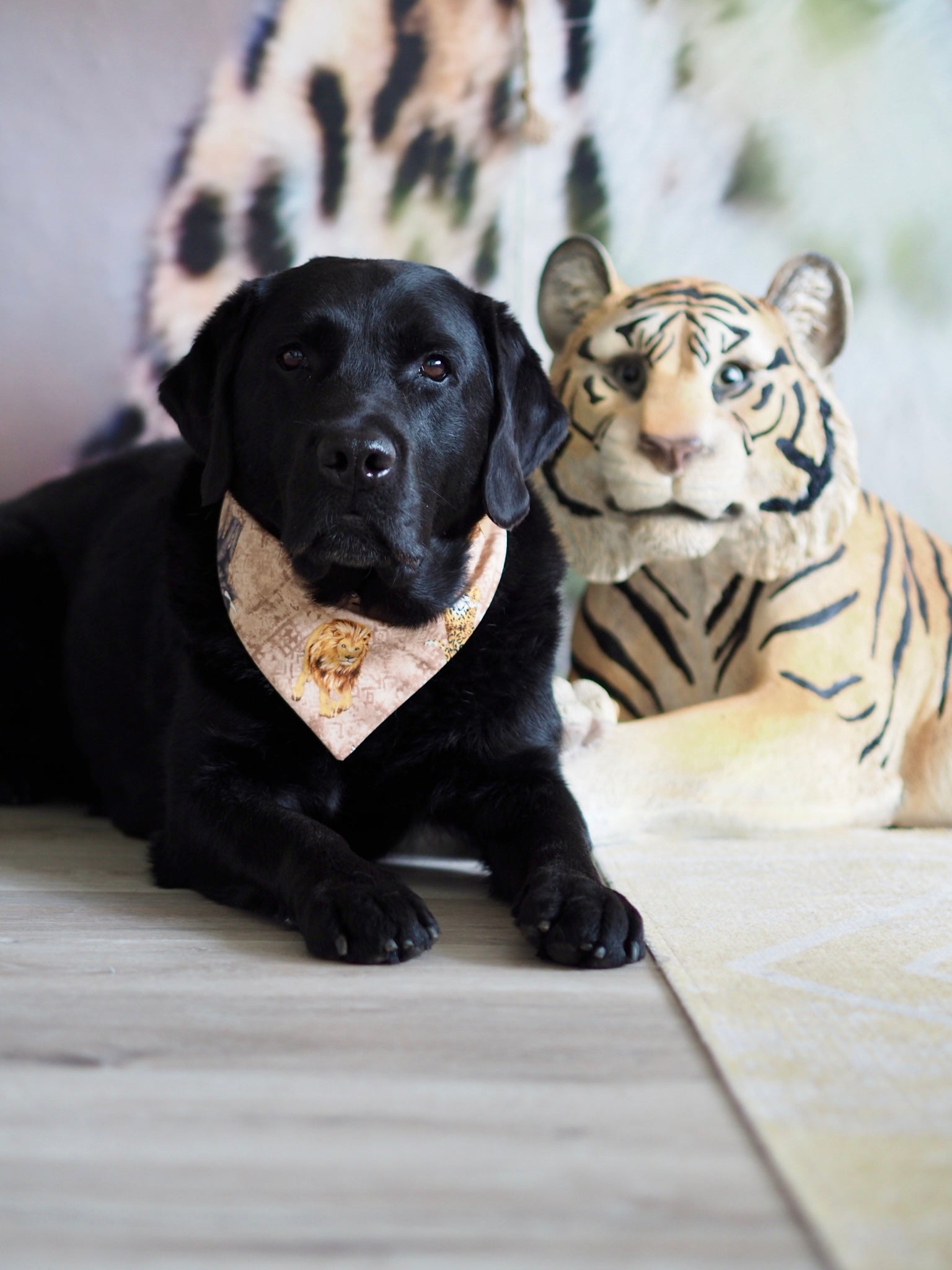 Schwarzer Labrador trägt Hundehalstuch mit Löwe